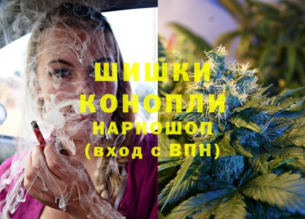 МДПВ Верея