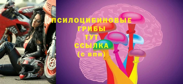 МДПВ Верея