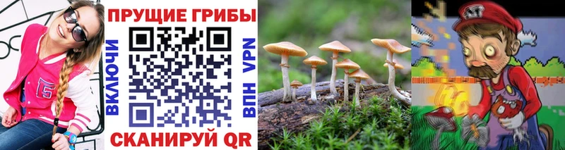 Галлюциногенные грибы мухоморы где можно купить Инсар
